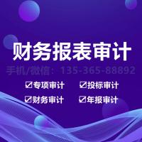 珠海财务报表审计出具_中山财务报表审计出具-找特快办