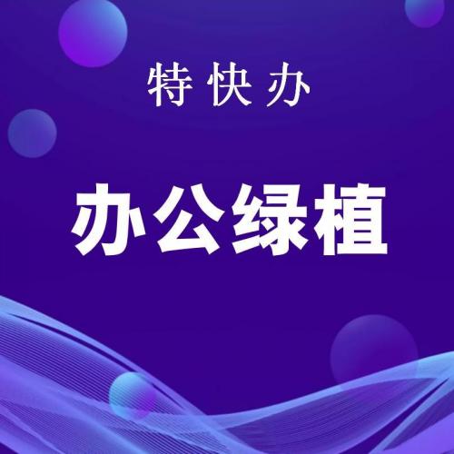 珠海办公绿植服务_中山办公绿植服务-找特快办